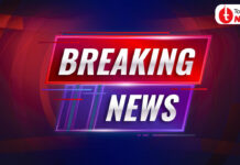 Punjab Elections: AAP Announces First List of 40 Candidates; CM Bhagwant Mann Gets Ticket