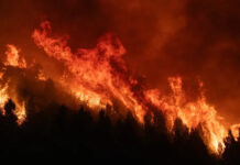 Canada Military Base Fire: Deaths and Injuries Reported After Major Blaze at Alberta Defence Site
