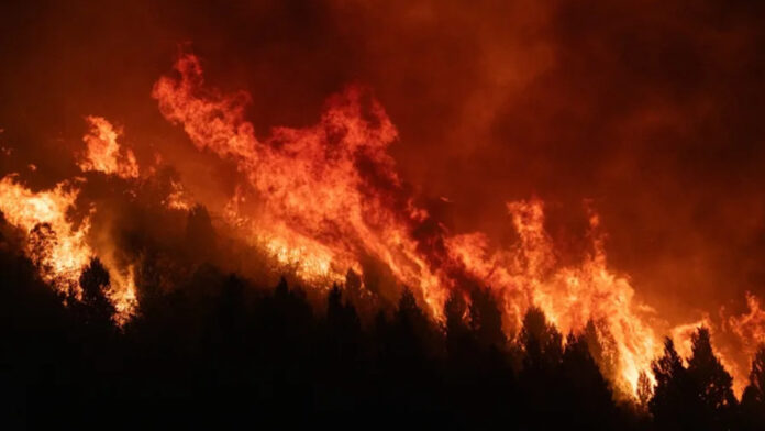 Canada Military Base Fire: Deaths and Injuries Reported After Major Blaze at Alberta Defence Site