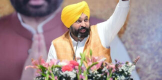 Police Arrested Main Accused Within 24 Hours, Investigation Underway: CM Bhagwant Singh Mann
