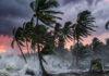 Cyclone Arnab Havoc: Roads Flooded, Trees Fall as Powerful Winds Sweep Andhra Pradesh