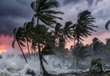 Cyclone Arnab Havoc: Roads Flooded, Trees Fall as Powerful Winds Sweep Andhra Pradesh