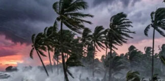 Cyclone Arnab Havoc: Roads Flooded, Trees Fall as Powerful Winds Sweep Andhra Pradesh