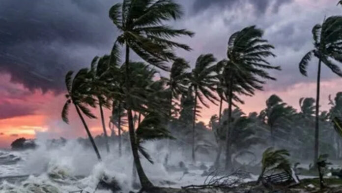 Cyclone Arnab Havoc: Roads Flooded, Trees Fall as Powerful Winds Sweep Andhra Pradesh