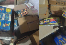 Delhi Police Seize 2,375 Kg of Green Firecrackers from Alleged Illegal Warehouse in Haiderpur