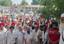 Farmers in Ratia Demand ₹1 Lakh Compensation for Rain and Hailstorm-Damaged Crops