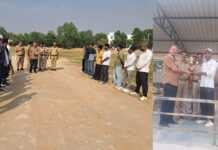 Fatehabad Police Organise Cricket Match in Memory of Martyrs, Promote Drug-Free Living