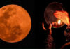 Karwa Chauth Shopping Picks Up Pace as Noida Markets Embrace Festive Spirit Karwa Chauth shopping is gaining momentum in Noida and Greater Noida, with bangles, decorative karwas and puja thalis attracting customers.