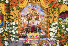 Maa Katyayani Adorned in Kanjeevaram Saree, Blesses Devotees from Flower-Decorated Shrine