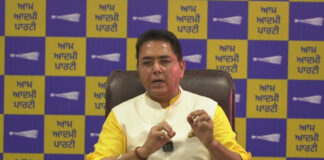 Aman Arora Warns Punjab Could Lose Free Electricity, ₹10 Lakh Health Cover If Congress Wins in 2027