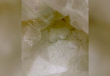 NCB Busts Two Secret Drug Labs in Greater Noida Under ‘Operation Crystal Hunt’