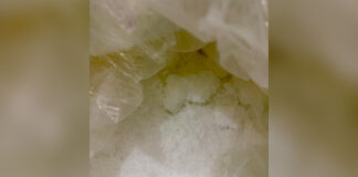 NCB Busts Two Secret Drug Labs in Greater Noida Under ‘Operation Crystal Hunt’