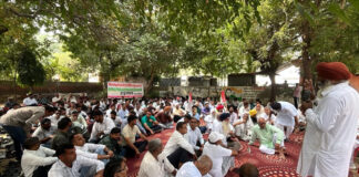 Power Employees’ Strike Continues in Fatehabad Over Privatisation, Opposition Backs Protest