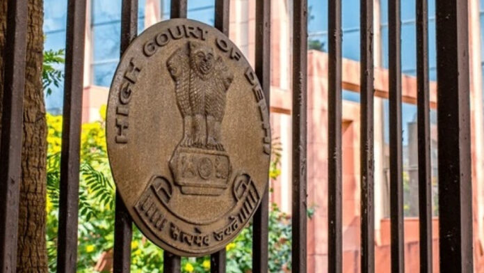 Delhi HC Questions CJP Leaders' Age, Says 'You Are Not Gen Z' During Custody Hearing