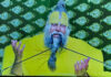 Premanand Maharaj Ashram Under Scrutiny: After Disciple’s Death, Woman and Child Reportedly Go Missing