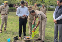 Saubhari Forest to Blossom with Sandalwood Trees as DM and SSP Launch Plantation Drive