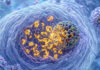 Scientists Make Major Discovery in the Fight Against Dengue Virus
