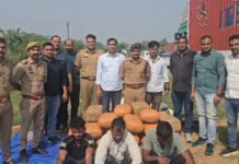 Three Haryana Men Arrested in Mathura with 250 Kg of Ganja Worth ₹1.25 Crore