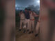 Two Suspected Burglars Arrested After Police Encounter in Mathura, Shot in Legs