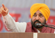 We're Developing Punjab As Best Destination For Education: CM Bhagwant Singh Mann