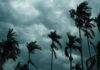 Weather Update: Rain in Delhi-UP, Snowfall in Hills; IMD Issues Alert for 28 States