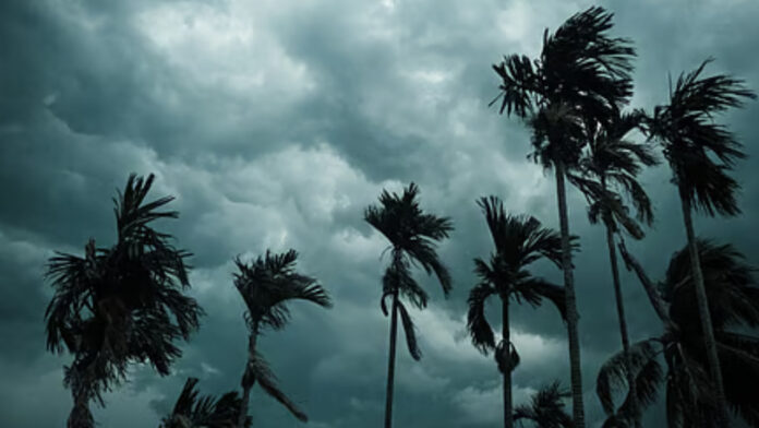 Weather Update: Rain in Delhi-UP, Snowfall in Hills; IMD Issues Alert for 28 States