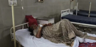 Woman Devotee Killed After Being Struck by a Motorcycle